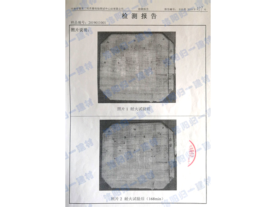 檢測報告